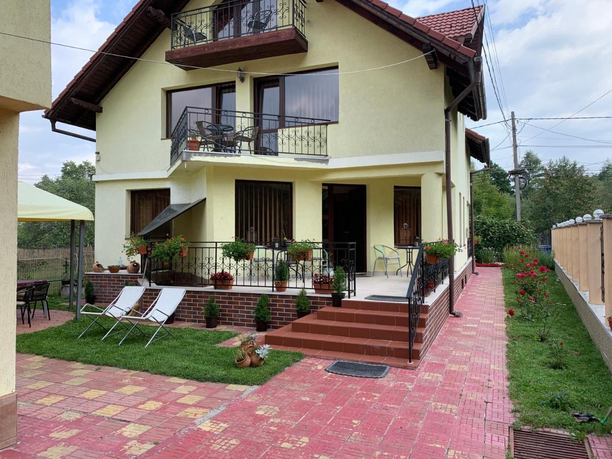 Pensiunea M&M Bran (Brasov) Exterior foto